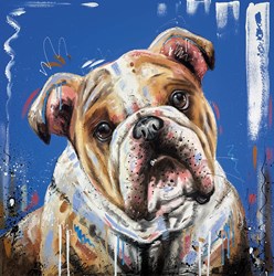 The Hard Stare by Samantha Ellis - Box Canvas sized 20x20 inches. Available from Whitewall Galleries
