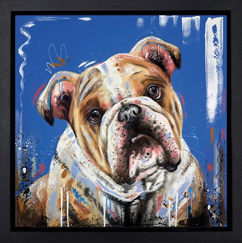 The Hard Stare by Samantha Ellis - Framed Box Canvas