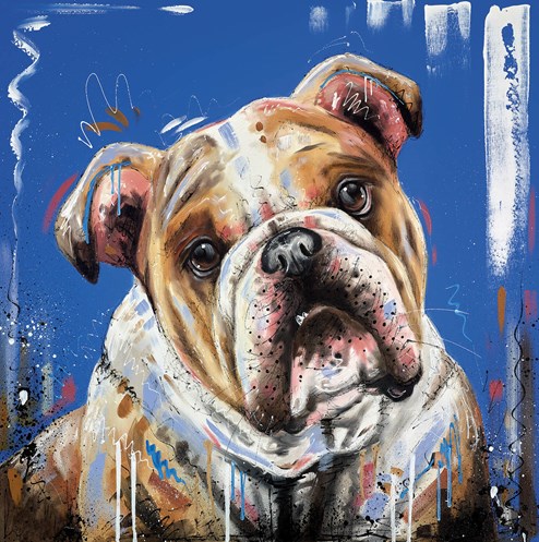 The Hard Stare by Samantha Ellis - Box Canvas
